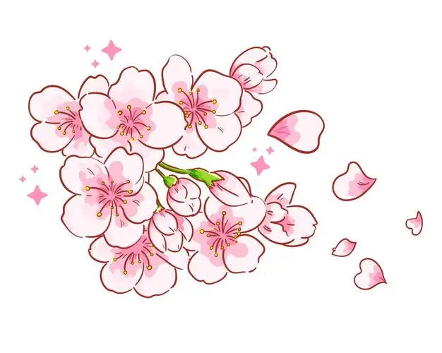 La flor del árbol Sakura, símbolo nacional de Japón - Flores del Mundo