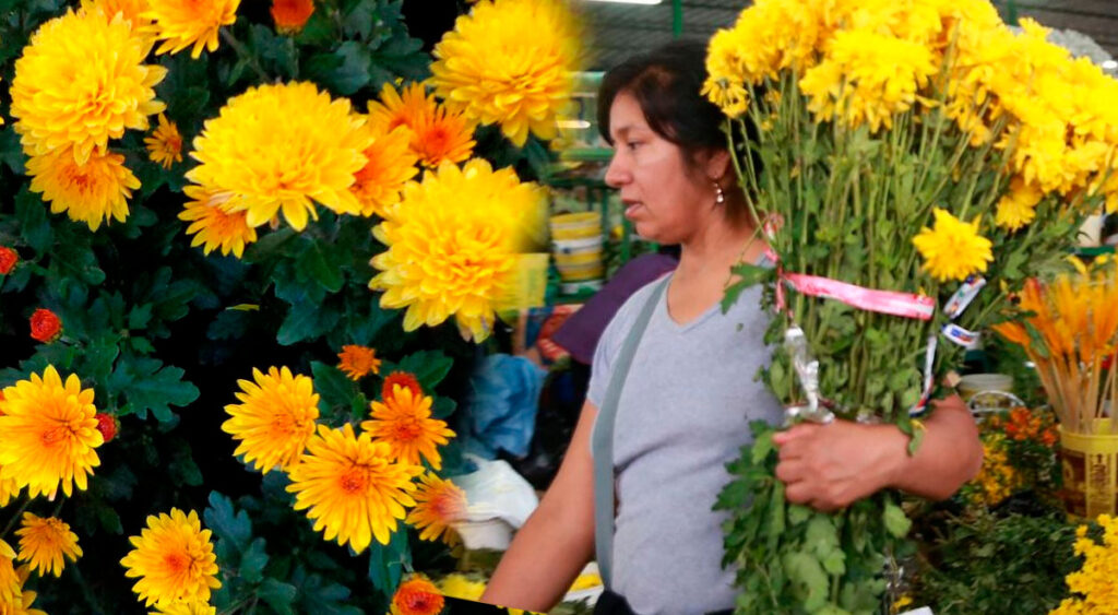 Qué significan las flores amarillas para el Año Nuevo